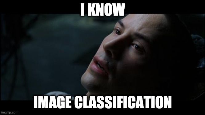 Neo learns image classification